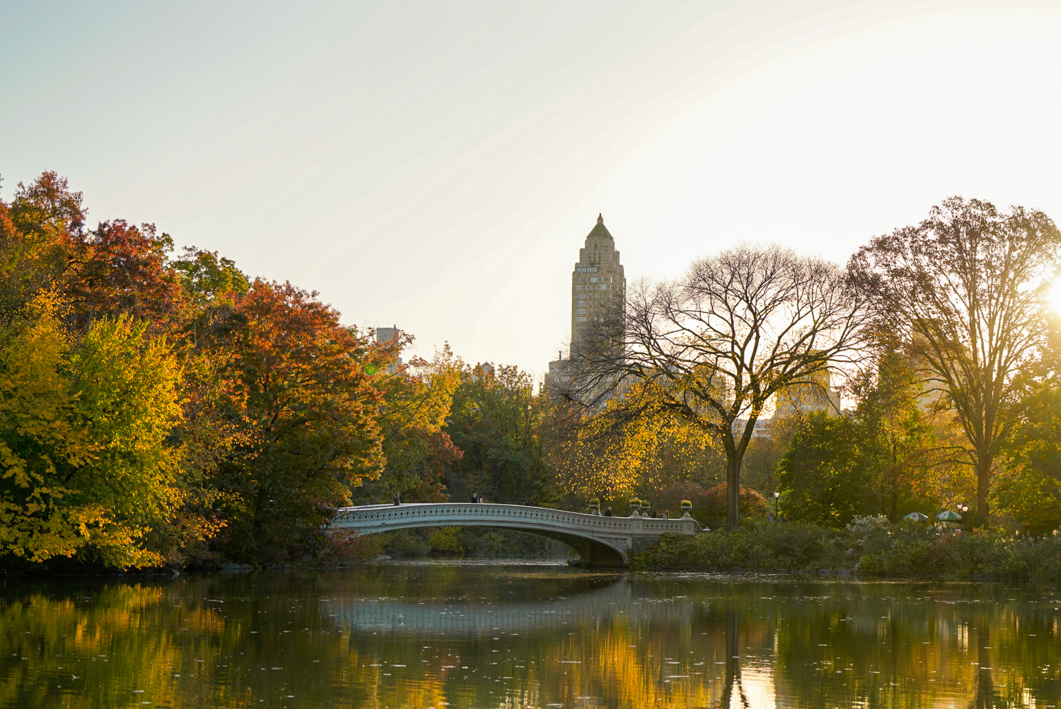 Central Park