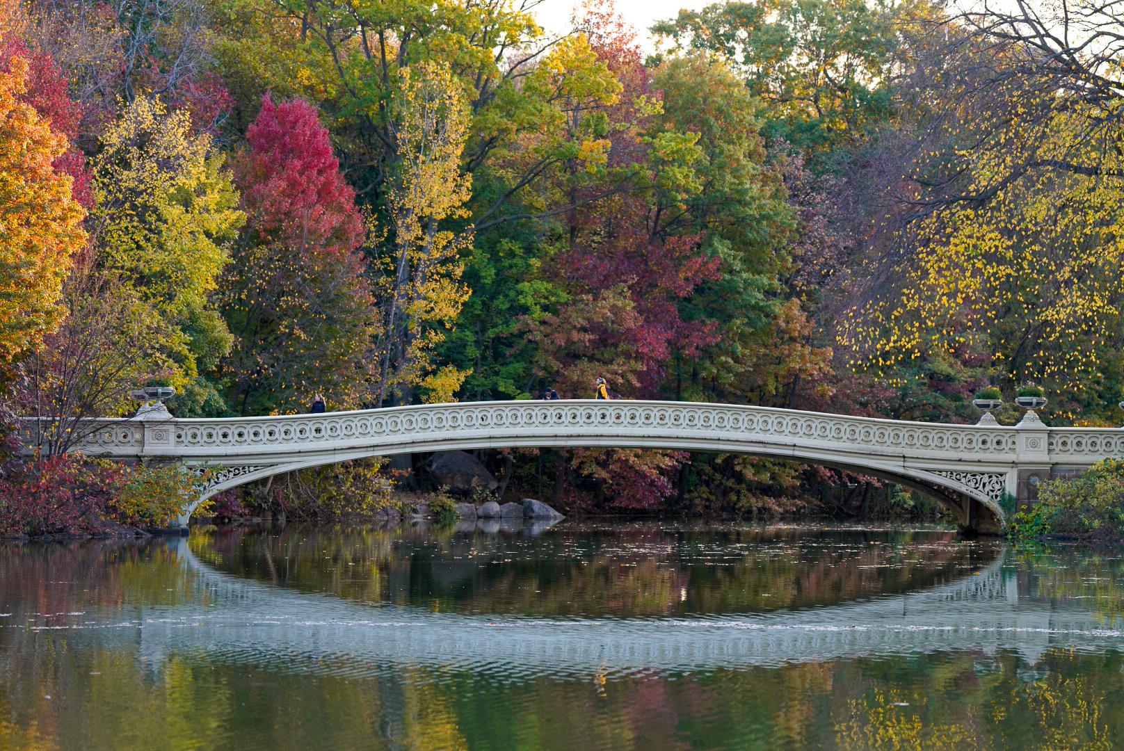 Central Park